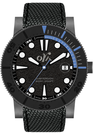 1st image description